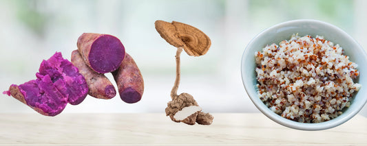 Purple Sweet Potato, Quinoa and Tiger Milk Mushroom