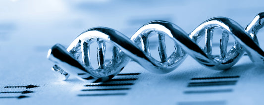 DNA Strand made of metal material