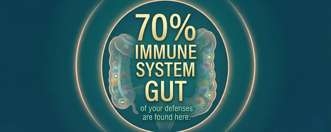The Gut-Immune Connection: Your Body’s First Line of Defense
