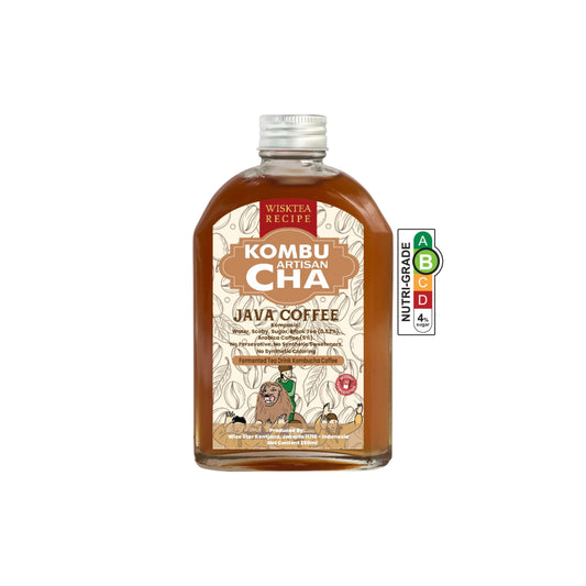 Java Coffee Kombucha – Energising Probiotic Drink | WiskTea Recipe