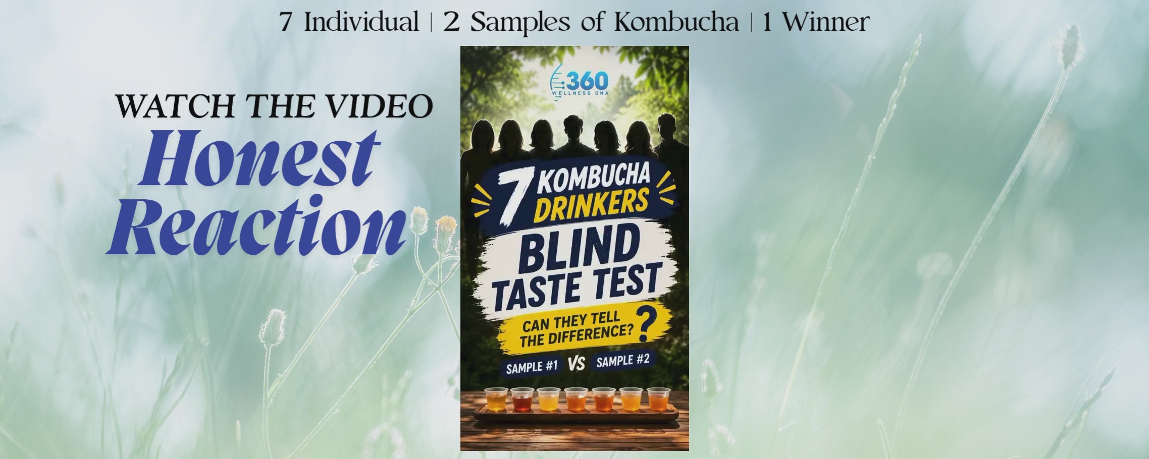 Load video: WiskTea Kombucha Blind Taste Test Video